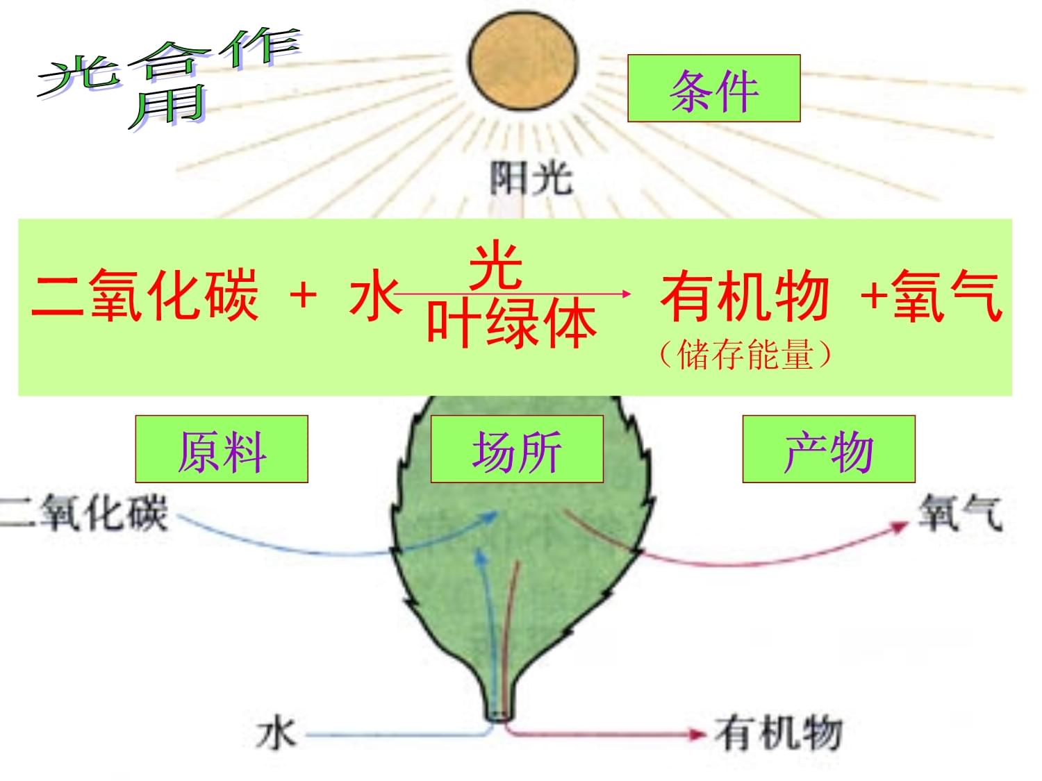 無復燃光合作用需要二氧化碳 課件詳解