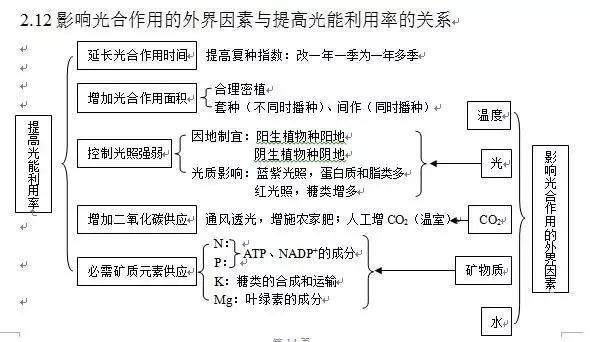 詳解光合作用，輕松掌握高中生物知識點