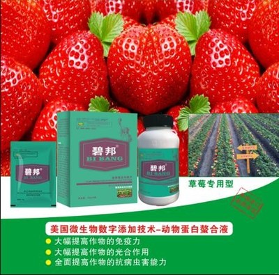 山東莘縣進口葉面肥和沖施肥經(jīng)銷商 光合作用在農(nóng)業(yè)增產(chǎn)中的關(guān)鍵作用